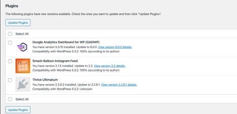 Screenshot of how to update your wordpress website plugins.